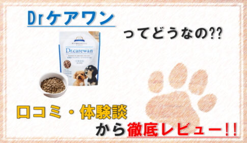 Dr carewan-dogfood-eyecatch